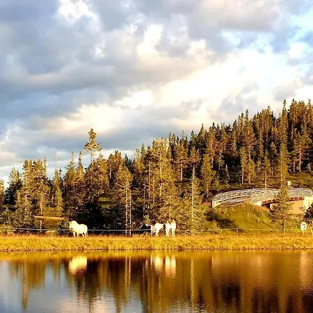 New, Cozy On Norefjell With Stunning Views